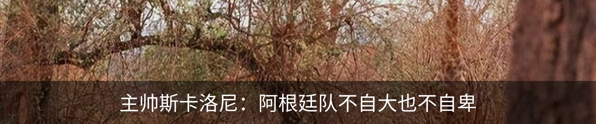新闻动态