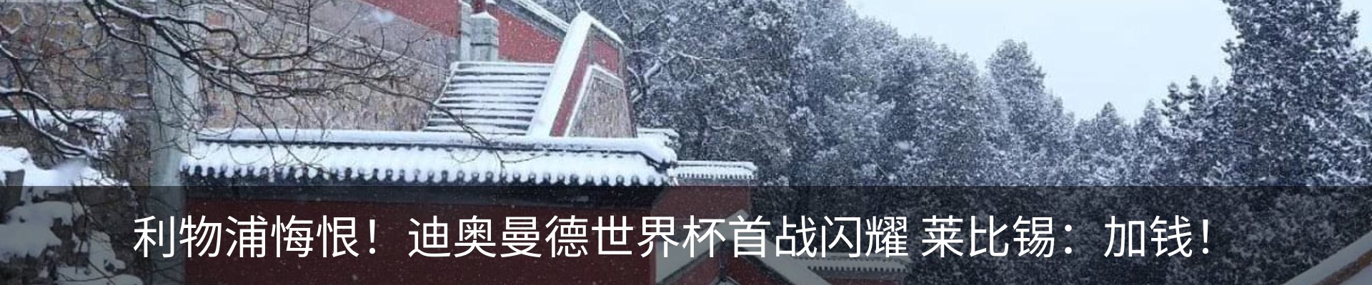 新闻动态
