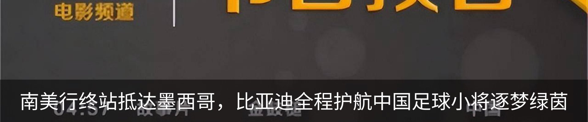 新闻动态