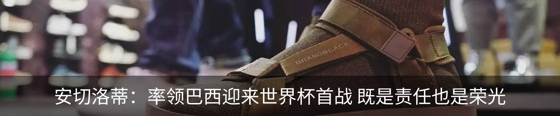 新闻动态