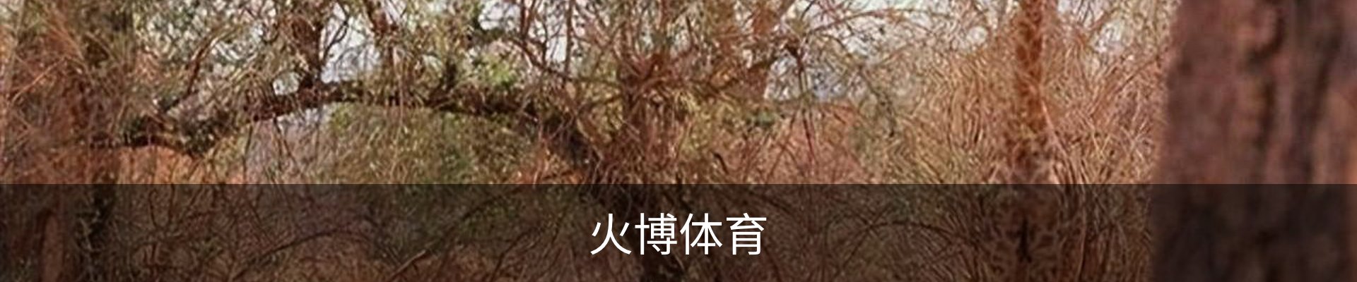 火博体育 - HUOBO火博体育官方网站 - HUOBO SPORTS