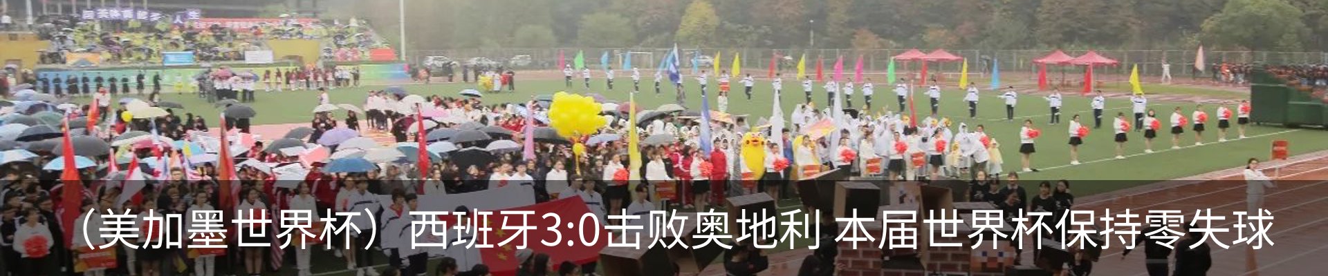 新闻动态