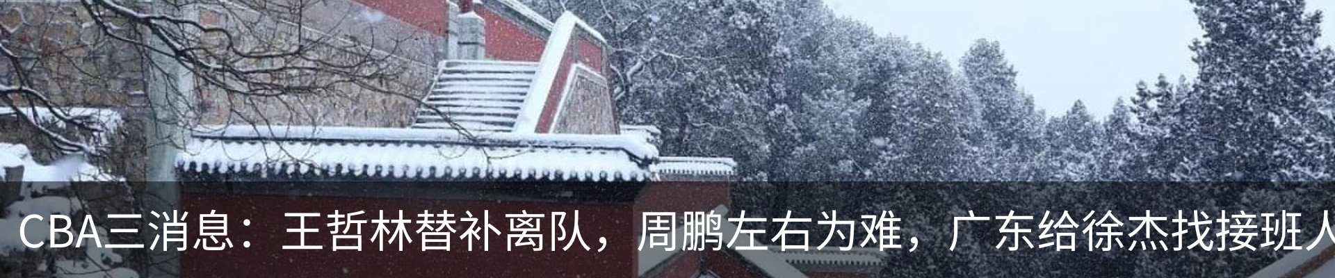 新闻动态